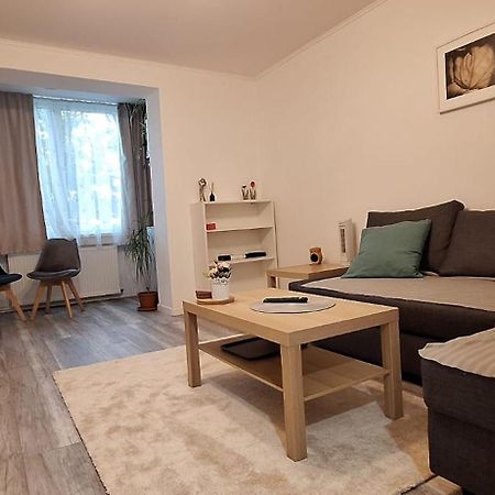 Enci House Apartment Târgu-Mureş Екстериор снимка