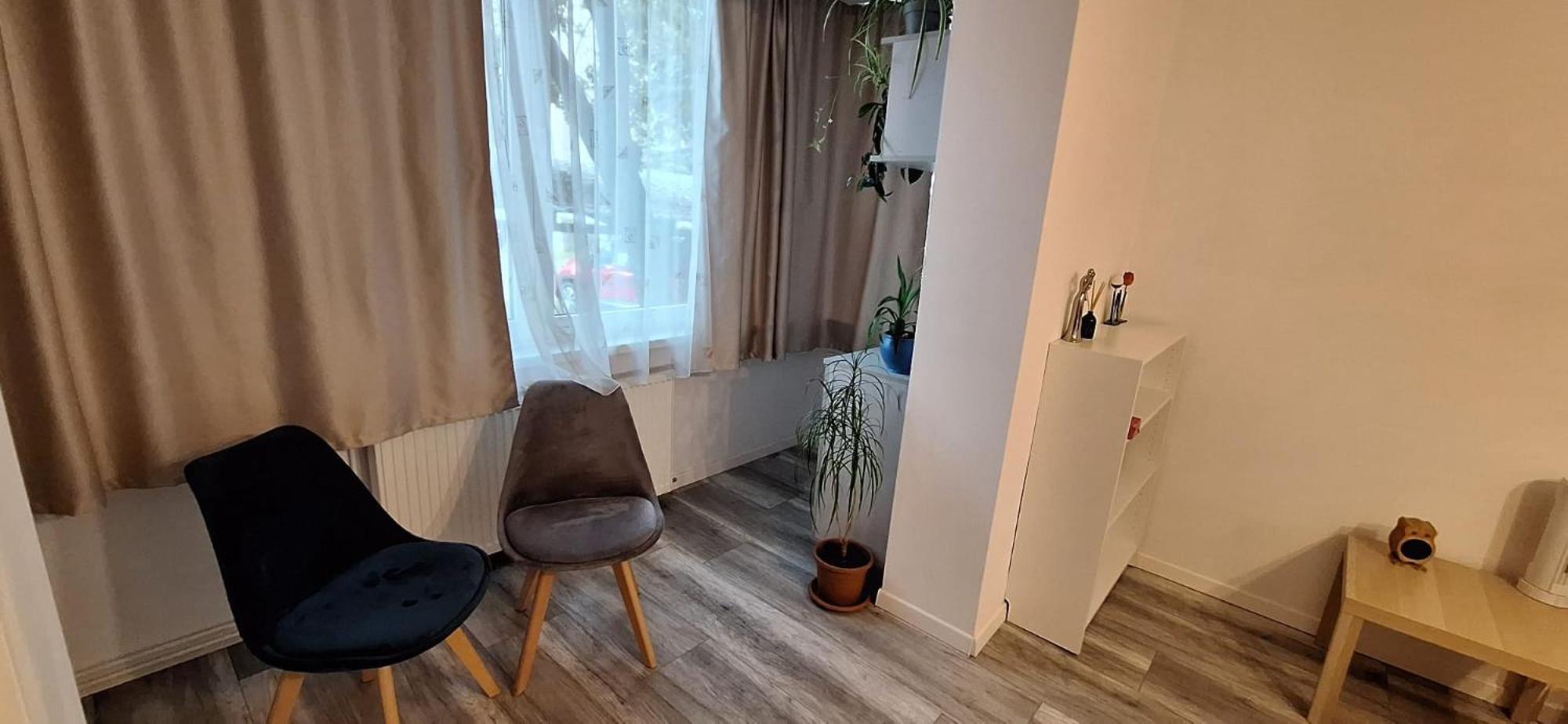 Enci House Apartment Târgu-Mureş Екстериор снимка